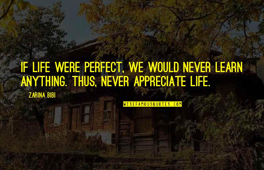 Sprig Quotes By Zarina Bibi: If life were perfect, we would never learn