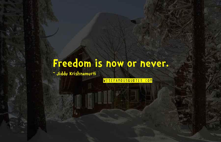 Spriggan 12 Quotes By Jiddu Krishnamurti: Freedom is now or never.