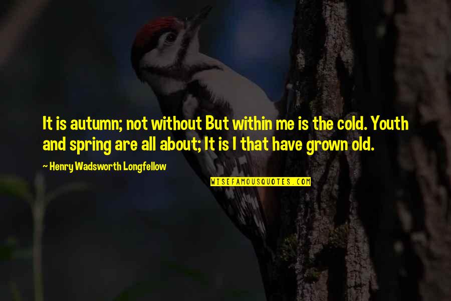 Spring And Autumn Quotes By Henry Wadsworth Longfellow: It is autumn; not without But within me