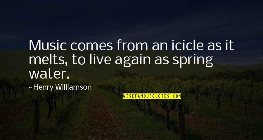 Spring Comes Quotes By Henry Williamson: Music comes from an icicle as it melts,