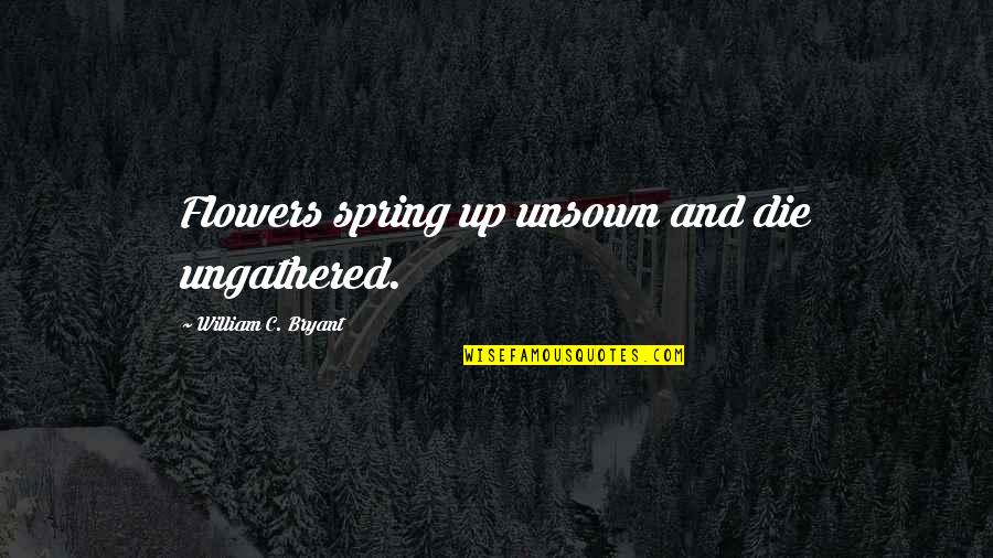 Spring Flowers Quotes By William C. Bryant: Flowers spring up unsown and die ungathered.