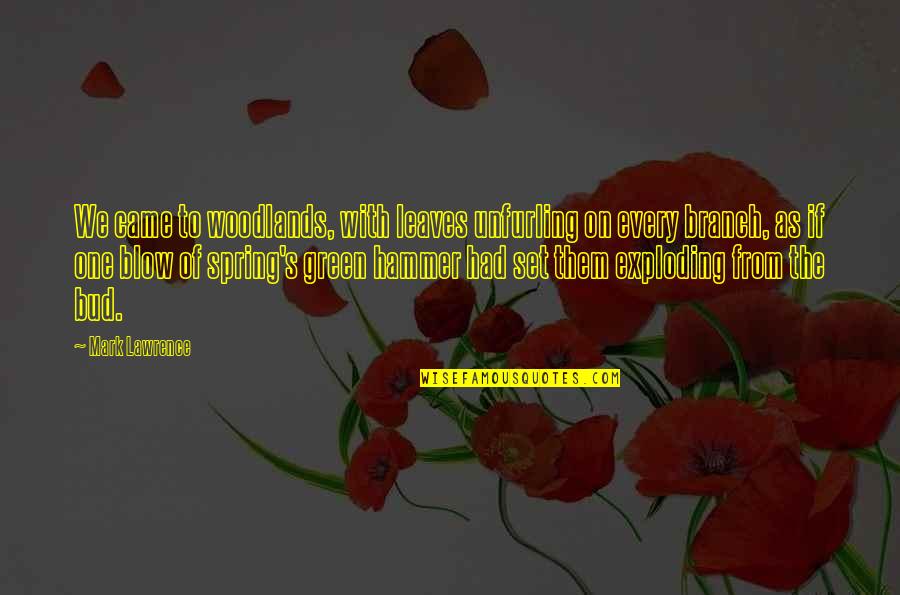 Spring Leaves Quotes By Mark Lawrence: We came to woodlands, with leaves unfurling on Spring Leaves Quotes By Mark Lawrence: We came to woodlands, with leaves unfurling on