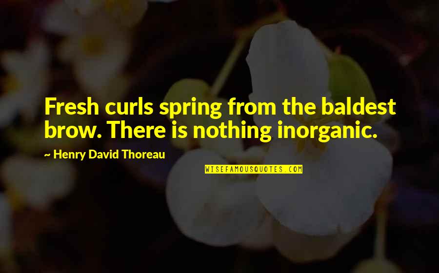 Spring Life Quotes By Henry David Thoreau: Fresh curls spring from the baldest brow. There Spring Life Quotes By Henry David Thoreau: Fresh curls spring from the baldest brow. There