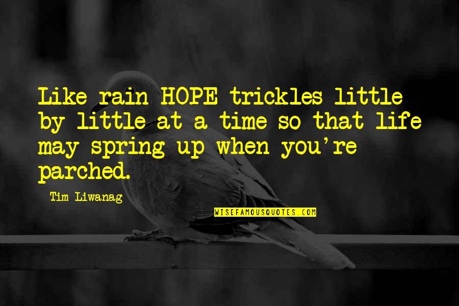 Spring Time Quotes By Tim Liwanag: Like rain HOPE trickles little by little at