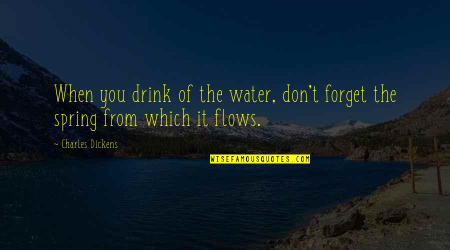 Spring Water Quotes By Charles Dickens: When you drink of the water, don't forget