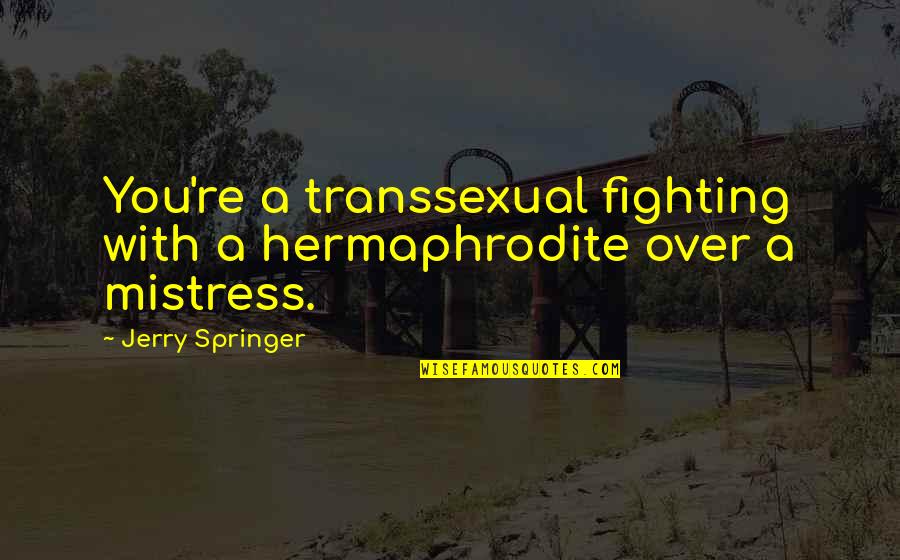 Springer Quotes By Jerry Springer: You're a transsexual fighting with a hermaphrodite over