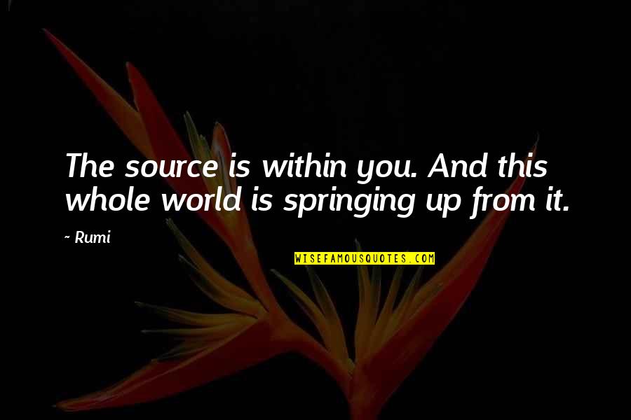 Springing Quotes By Rumi: The source is within you. And this whole