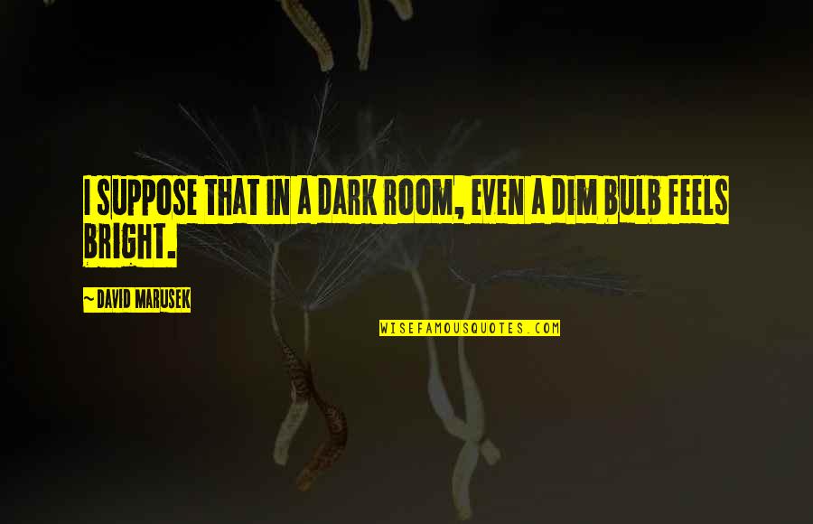 Springsteens Telecaster Quotes By David Marusek: I suppose that in a dark room, even Springsteens Telecaster Quotes By David Marusek: I suppose that in a dark room, even