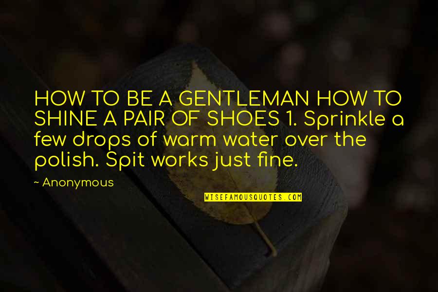 Sprinkle Quotes By Anonymous: HOW TO BE A GENTLEMAN HOW TO SHINE