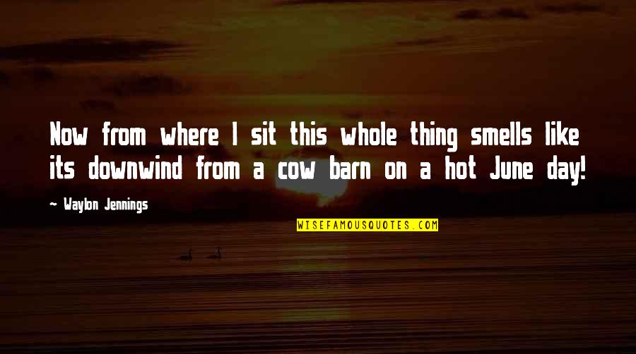 Sprinkled Synonym Quotes By Waylon Jennings: Now from where I sit this whole thing