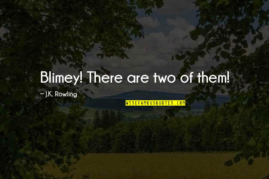 Sprint Car Quotes And Quotes By J.K. Rowling: Blimey! There are two of them! Sprint Car Quotes And Quotes By J.K. Rowling: Blimey! There are two of them!