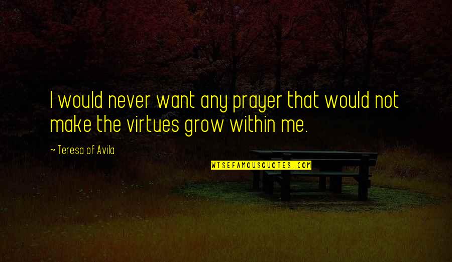 Sprittibee Quotes By Teresa Of Avila: I would never want any prayer that would