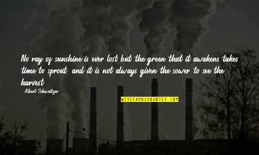Sprout Quotes By Albert Schweitzer: No ray of sunshine is ever lost but