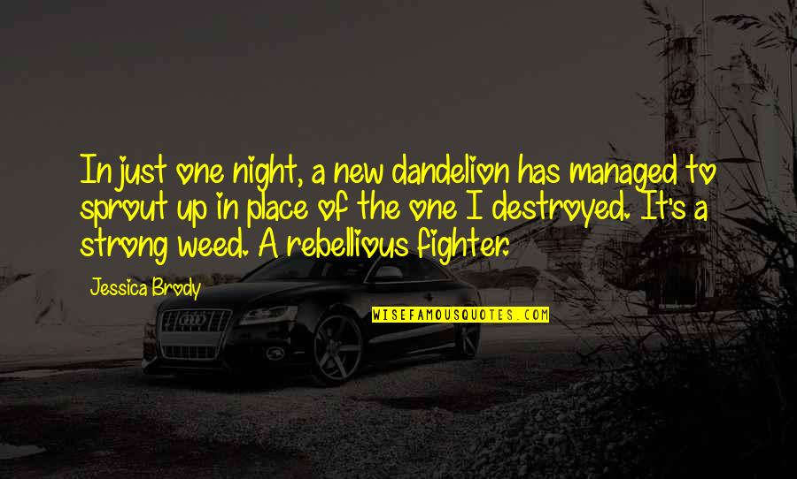 Sprout Quotes By Jessica Brody: In just one night, a new dandelion has