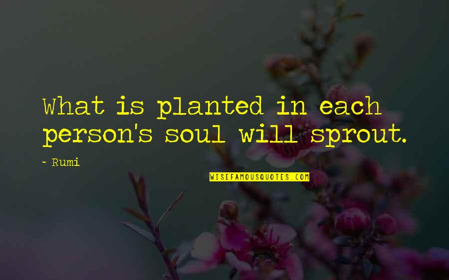 Sprout Quotes By Rumi: What is planted in each person's soul will