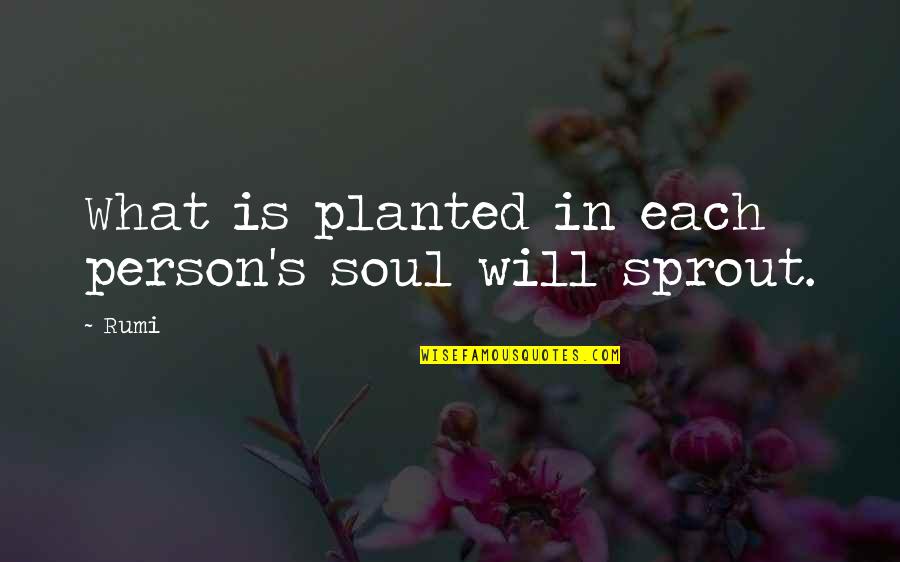Sprouts Quotes By Rumi: What is planted in each person's soul will