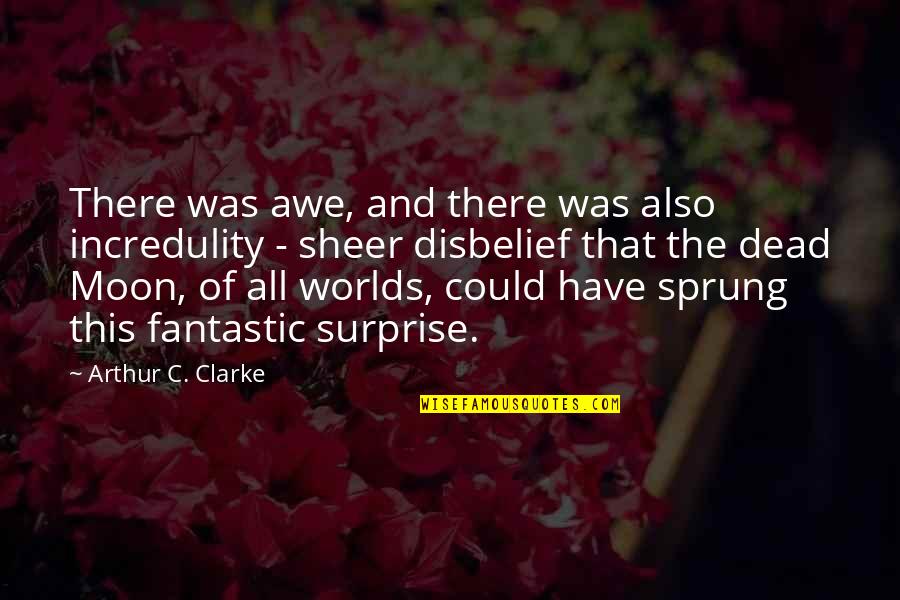 Sprung Up Quotes By Arthur C. Clarke: There was awe, and there was also incredulity