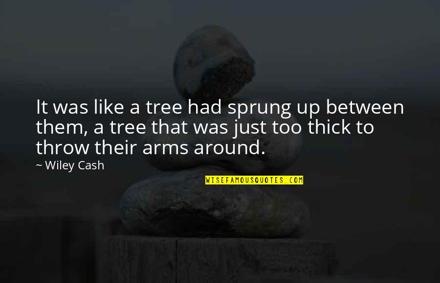 Sprung Up Quotes By Wiley Cash: It was like a tree had sprung up