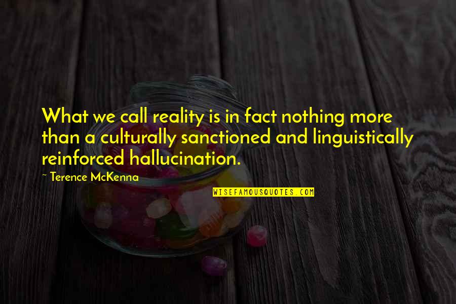 Spumoni Quotes By Terence McKenna: What we call reality is in fact nothing