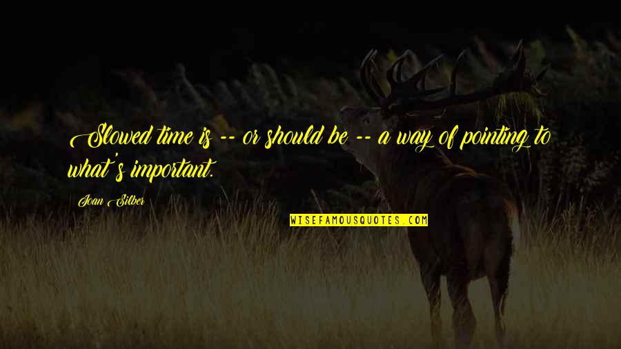Spunky Life Quotes By Joan Silber: Slowed time is -- or should be --