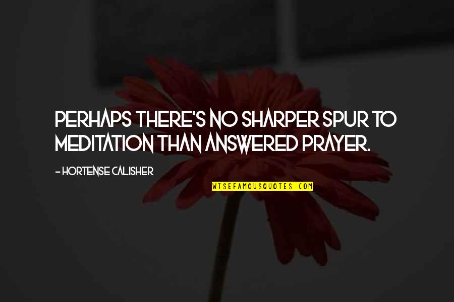 Spur Quotes By Hortense Calisher: Perhaps there's no sharper spur to meditation than