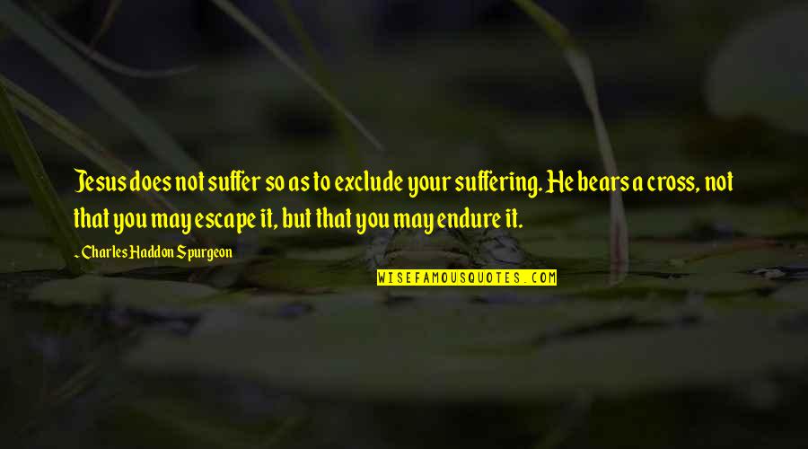 Spurgeon The Cross Quotes By Charles Haddon Spurgeon: Jesus does not suffer so as to exclude