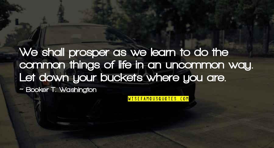 Spy Like Us Heart Quotes By Booker T. Washington: We shall prosper as we learn to do Spy Like Us Heart Quotes By Booker T. Washington: We shall prosper as we learn to do