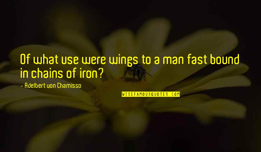 Spyers Quotes By Adelbert Von Chamisso: Of what use were wings to a man