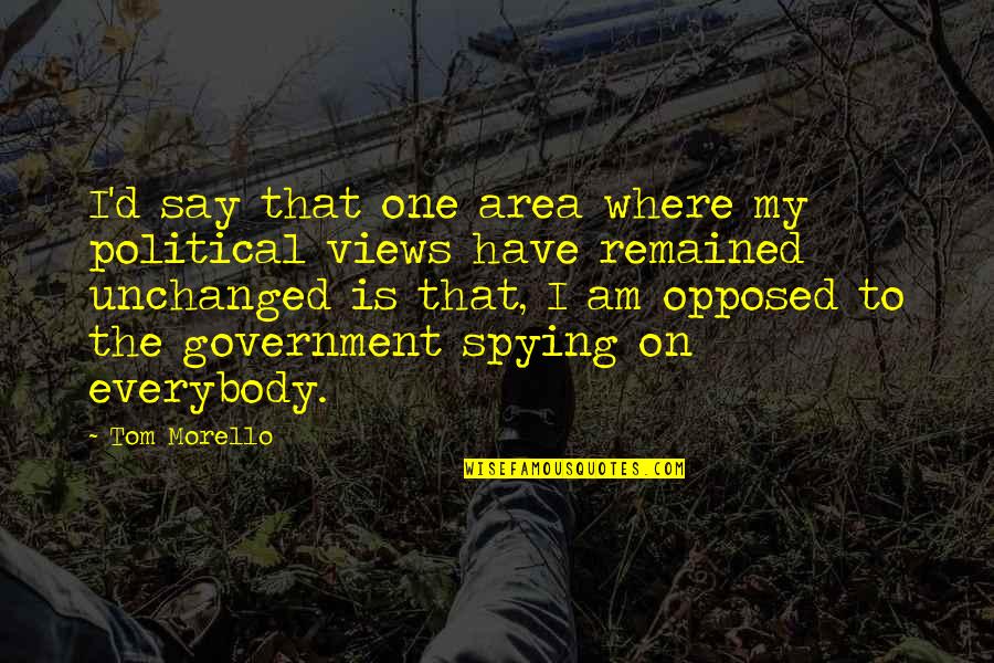 Spying On You Quotes By Tom Morello: I'd say that one area where my political