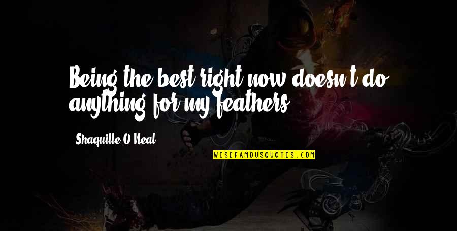 Squat Training Quotes By Shaquille O'Neal: Being the best right now doesn't do anything