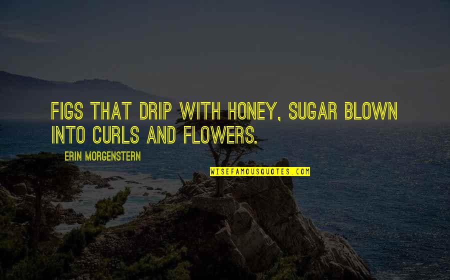 Squats Workout Quotes By Erin Morgenstern: Figs that drip with honey, sugar blown into