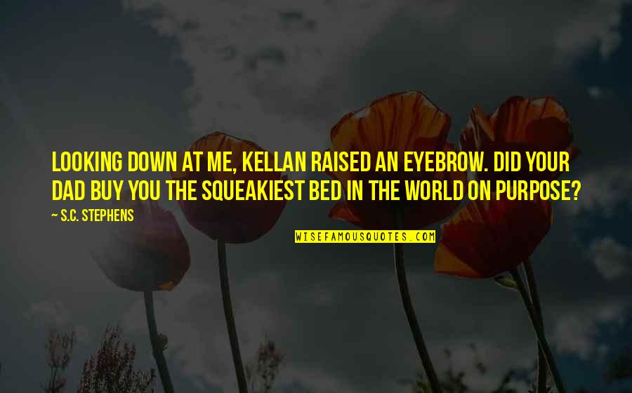 Squeakiest Quotes By S.C. Stephens: Looking down at me, Kellan raised an eyebrow.