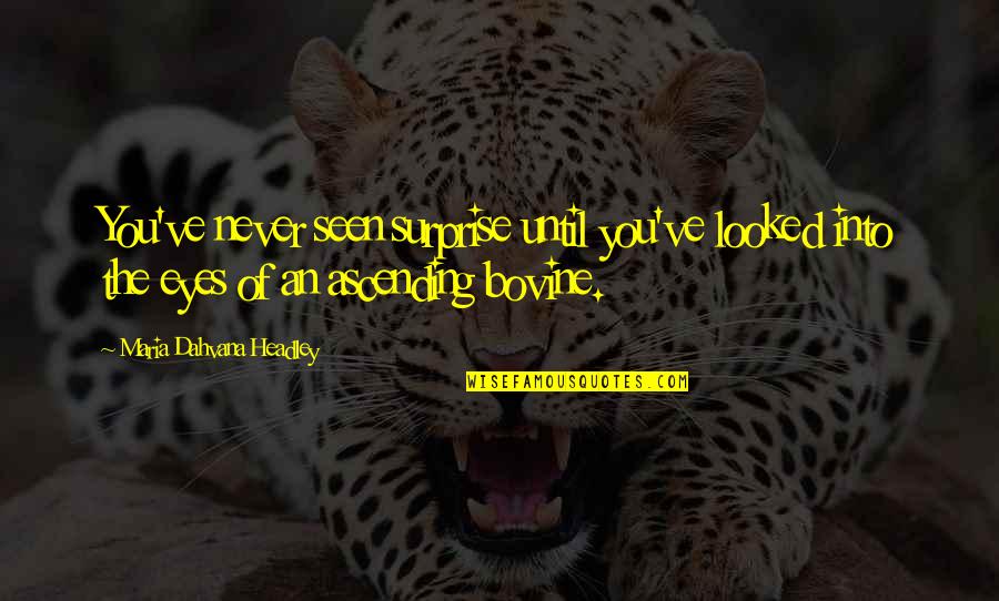 Squillari Torino Quotes By Maria Dahvana Headley: You've never seen surprise until you've looked into
