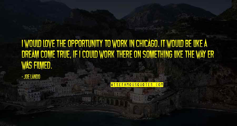 Squired Quotes By Joe Lando: I would love the opportunity to work in