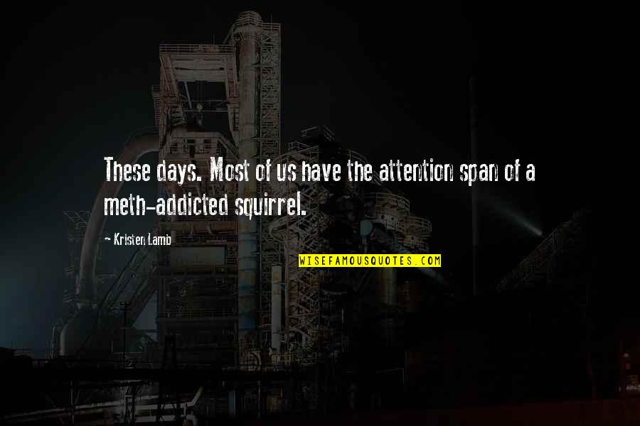 Squirrel Quotes By Kristen Lamb: These days. Most of us have the attention