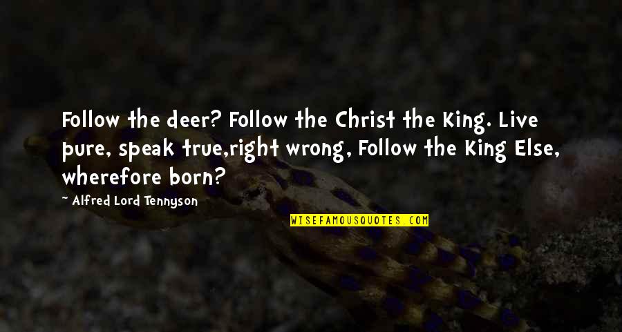 Srba Juzni Quotes By Alfred Lord Tennyson: Follow the deer? Follow the Christ the King. Srba Juzni Quotes By Alfred Lord Tennyson: Follow the deer? Follow the Christ the King.