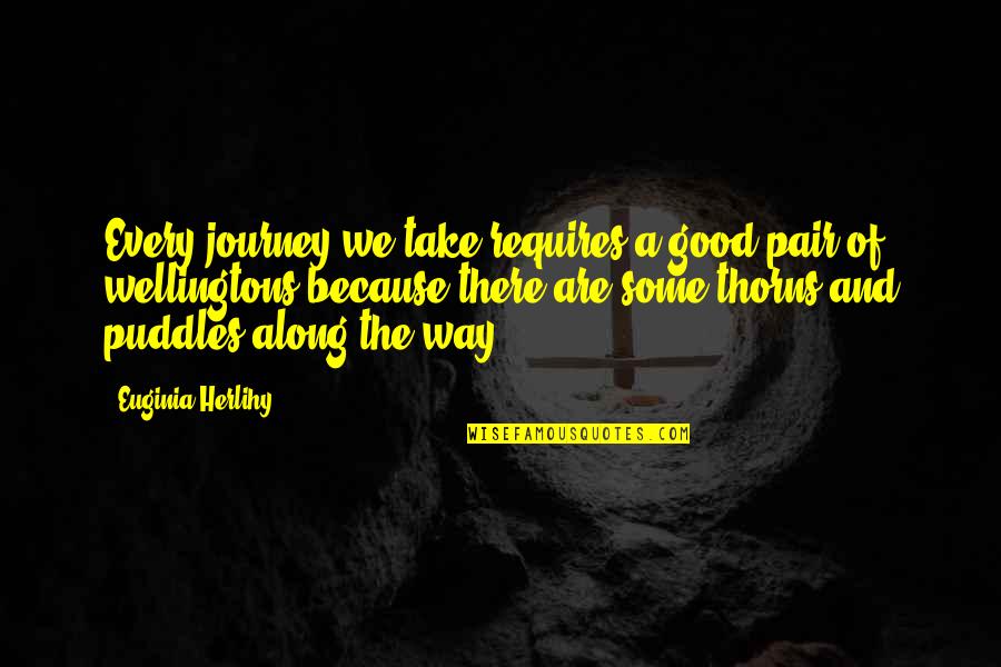Sredstva Za Quotes By Euginia Herlihy: Every journey we take requires a good pair