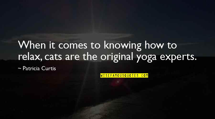 Sreelekha Hot Quotes By Patricia Curtis: When it comes to knowing how to relax,