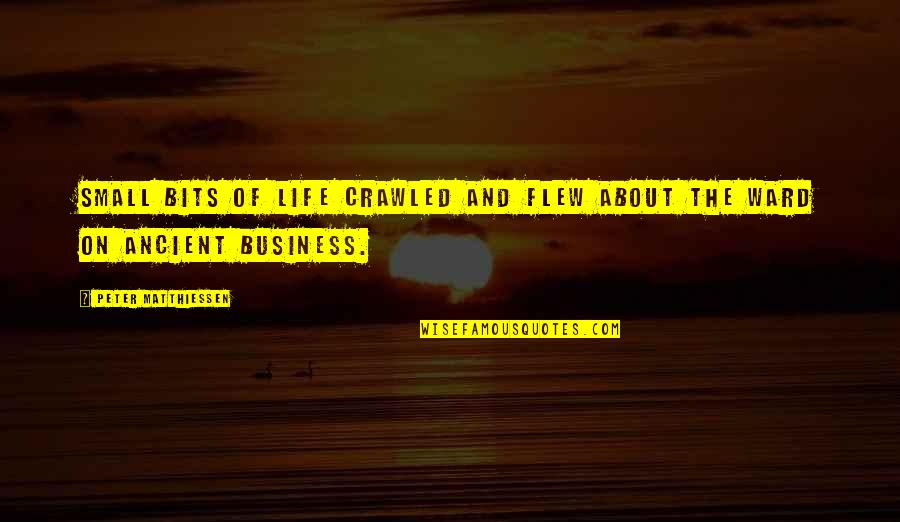 Sreyneang Oun Quotes By Peter Matthiessen: Small bits of life crawled and flew about Sreyneang Oun Quotes By Peter Matthiessen: Small bits of life crawled and flew about