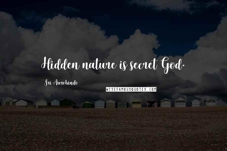 Sri Aurobindo quotes: Hidden nature is secret God.