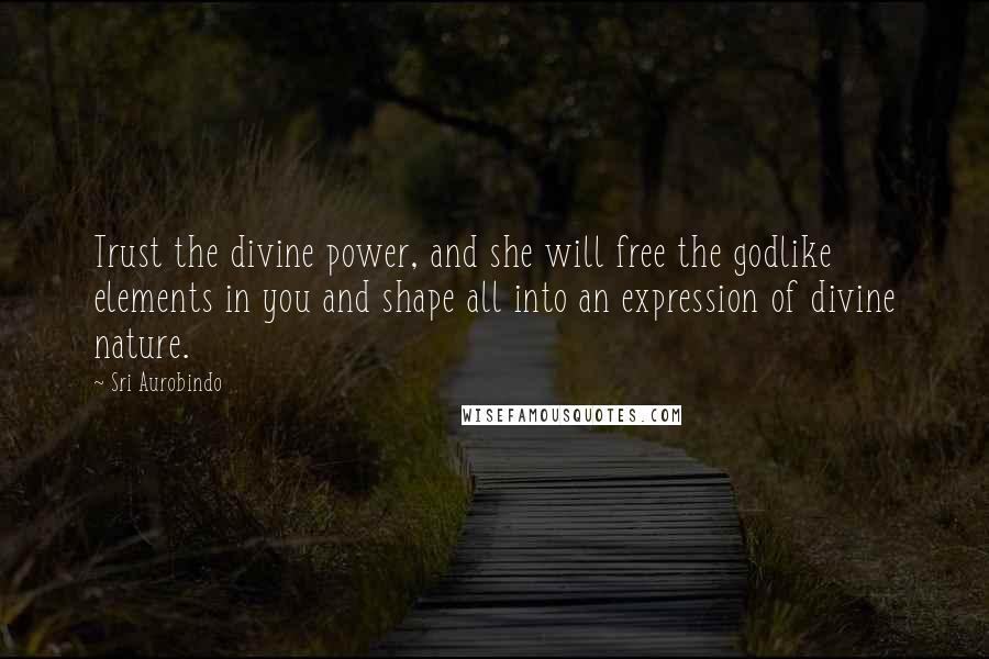 Sri Aurobindo quotes: Trust the divine power, and she will free the godlike elements in you and shape all into an expression of divine nature.