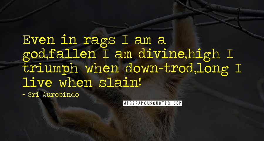 Sri Aurobindo quotes: Even in rags I am a god,fallen I am divine,high I triumph when down-trod,long I live when slain!
