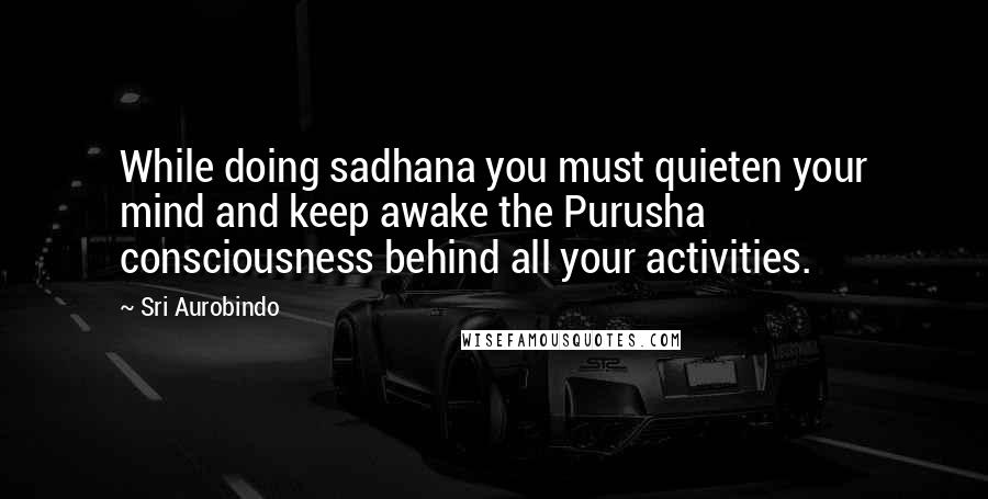 Sri Aurobindo quotes: While doing sadhana you must quieten your mind and keep awake the Purusha consciousness behind all your activities.