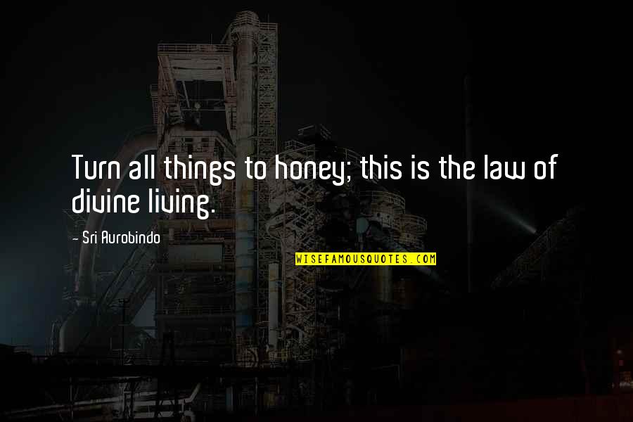 Sri Aurobindo Quotes By Sri Aurobindo: Turn all things to honey; this is the