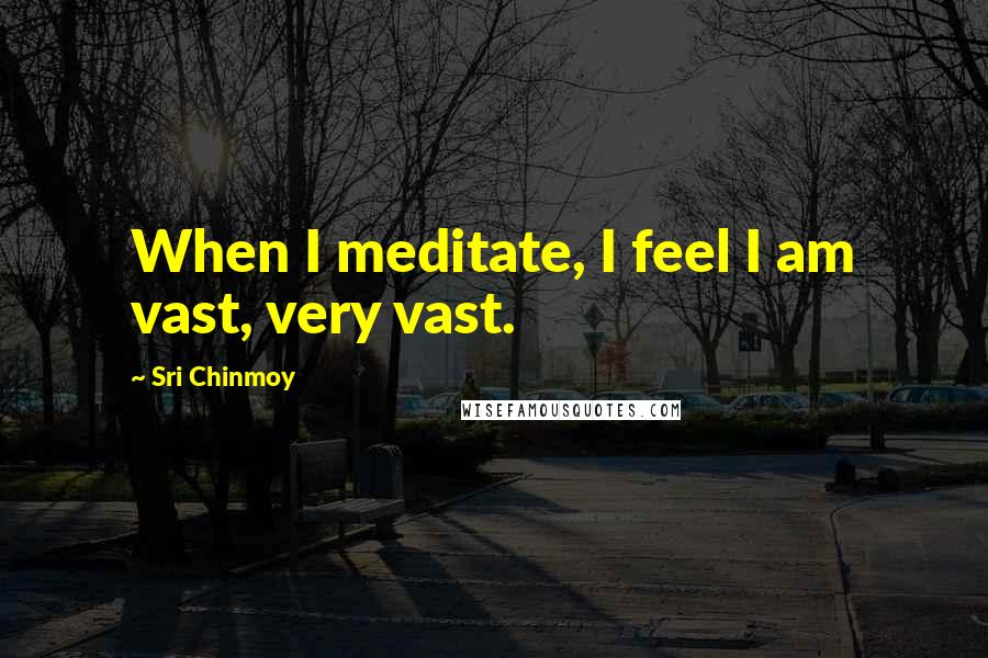 Sri Chinmoy quotes: When I meditate, I feel I am vast, very vast.