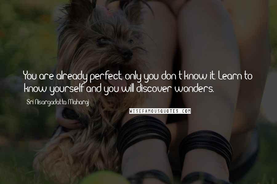 Sri Nisargadatta Maharaj quotes: You are already perfect, only you don't know it. Learn to know yourself and you will discover wonders. Sri Nisargadatta Maharaj quotes: You are already perfect, only you don't know it. Learn to know yourself and you will discover wonders.