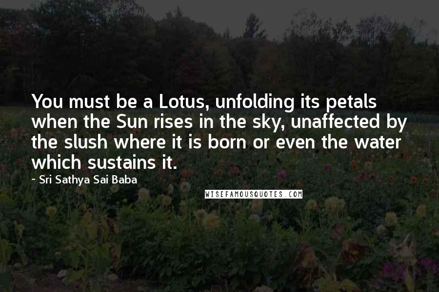 Sri Sathya Sai Baba quotes: You must be a Lotus, unfolding its petals when the Sun rises in the sky, unaffected by the slush where it is born or even the water which sustains it.