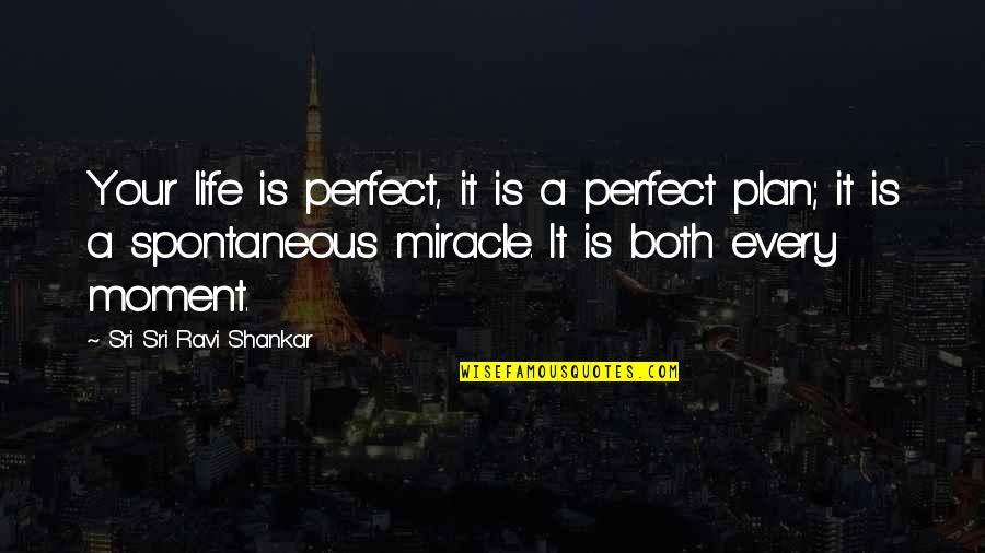 Sri Sri Ravi Quotes By Sri Sri Ravi Shankar: Your life is perfect, it is a perfect