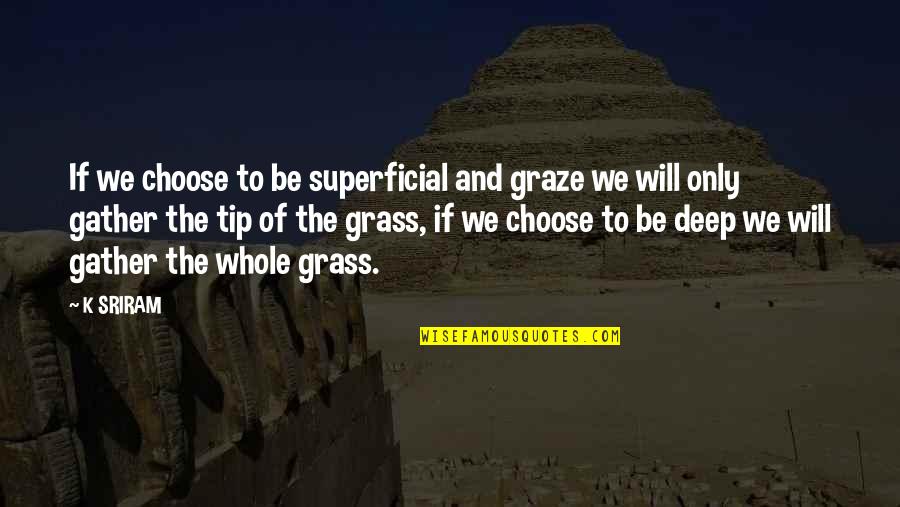 Sriram Quotes By K SRIRAM: If we choose to be superficial and graze Sriram Quotes By K SRIRAM: If we choose to be superficial and graze