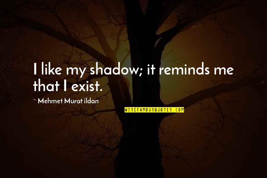 Sriram Quotes By Mehmet Murat Ildan: I like my shadow; it reminds me that